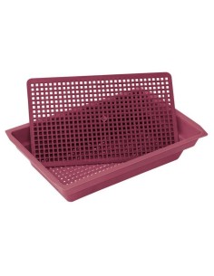 TERMONIDO PLASTICO BRUSELAS