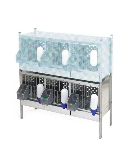 Gaiola de perdiz com 3 departamentos