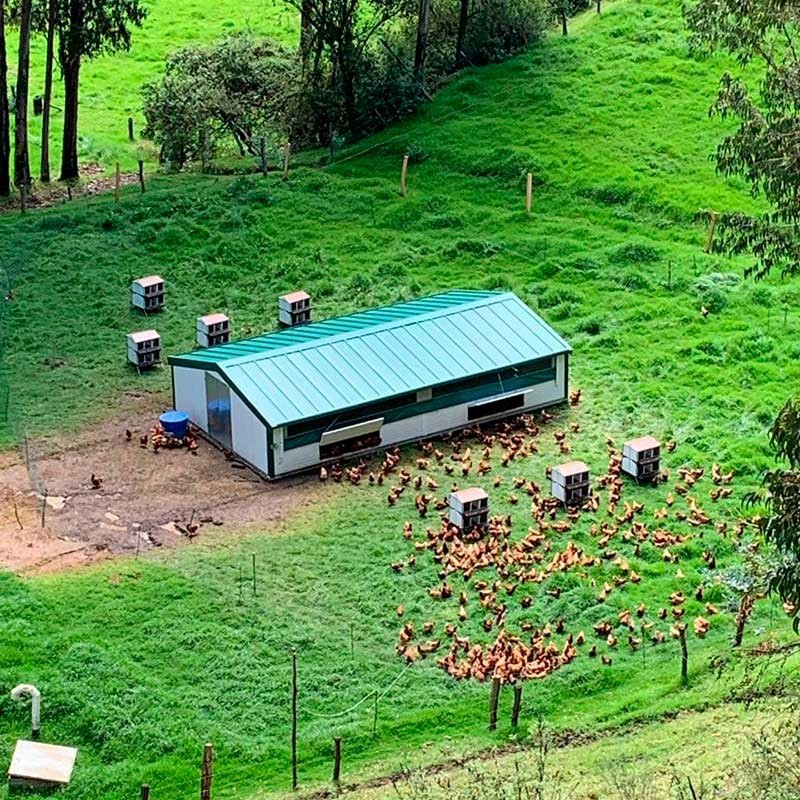Corral Móvil "Continental"