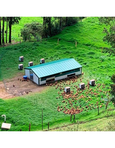 Corral Móvil "Continental"