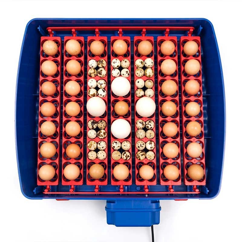 Incubadora REAL 49 Plus