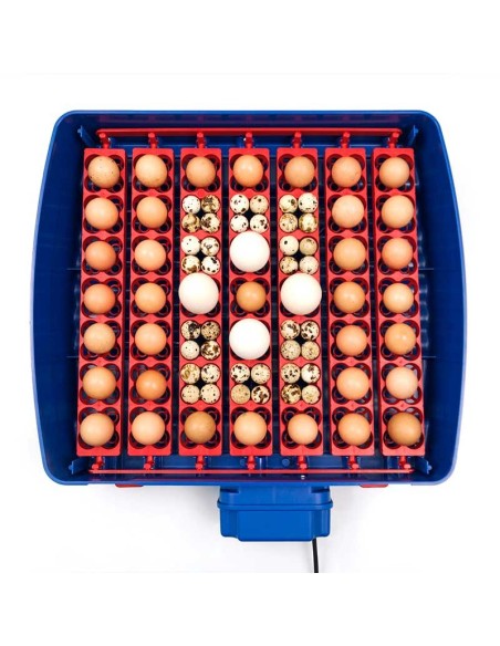 Incubadora REAL 49 Plus