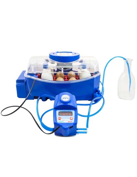 Incubadora Lumia 8 + Umidificador Sirio