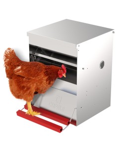 Comedero Automático para Gallinas "Safeed"