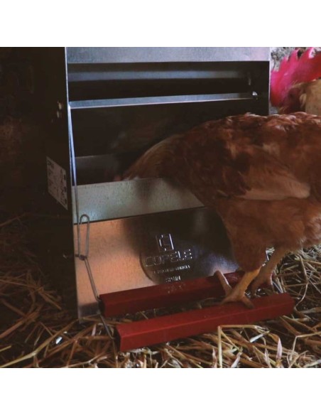 Comedero Automático para Gallinas "Safeed"