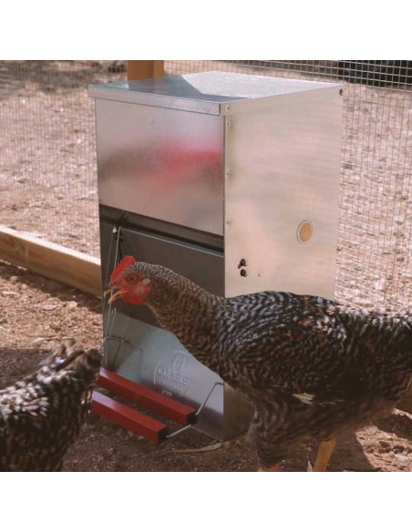 Comedero Automático para Gallinas "Safeed"