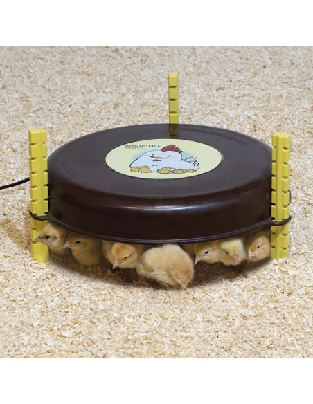 Aquecedor de pintinhos de galinha babá