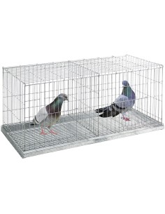 Exposição Cage 2 Depts. com bandeja