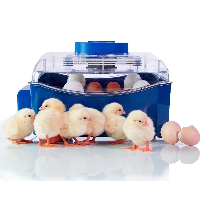 Incubadora Automática "Lumia 16"