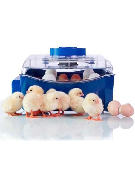 Incubadora Automática "Lumia 16"