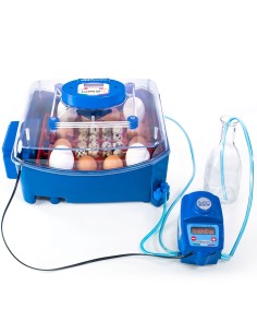 Incubadora Lumia 16 + Humidificador Sirio