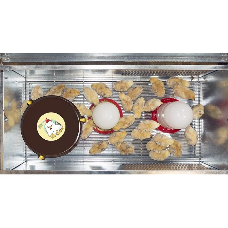 Chocadeira "Baby Park" + Aquecedor "Nanny Hen"