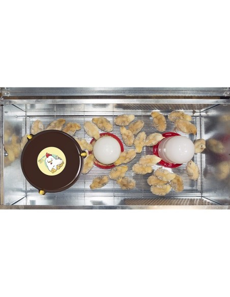 Chocadeira "Baby Park" + Aquecedor "Nanny Hen"