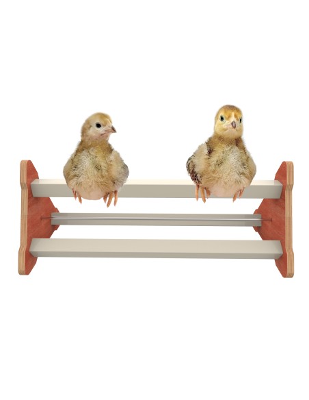 POLEIRO DE CHÃO PARA GALINHAS