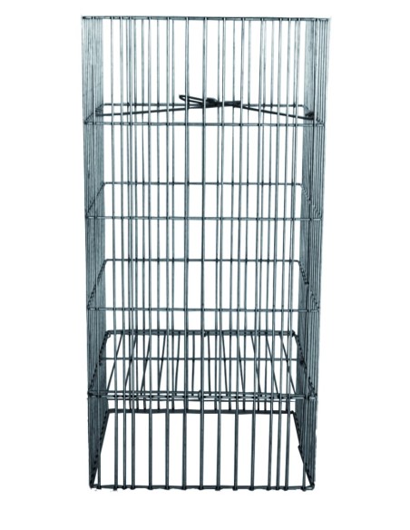 Forragem Pendurada para Pássaros