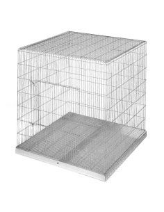 Papagaios de Exibição em Gaiola