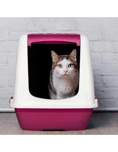 Aseo con puerta para gatos