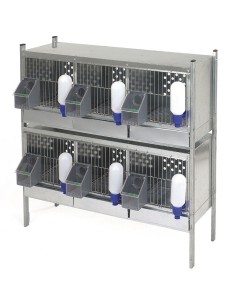 Gaiola de perdiz com 3 departamentos