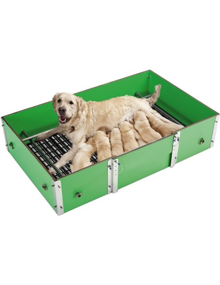 Caneta de Parto para Cães