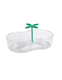 Tartaruga com Palmeira