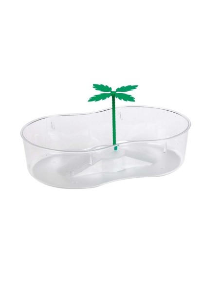 Tartaruga com Palmeira