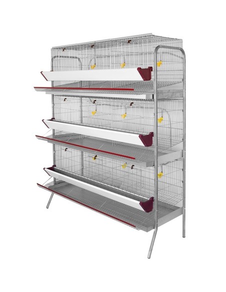 Batería de Exposición de Gallinas Ponedoras