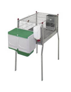 Gaiola para Coelhos "Marselha"