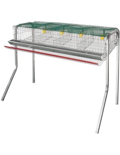 Bateria 1 andar de codorna 4 departamentos