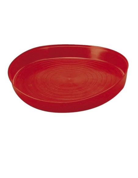 Placa pintos de primeira idade