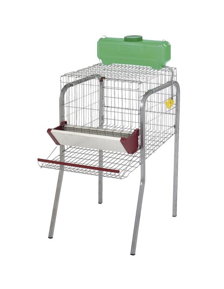 Batería de Gallinas Ponedoras