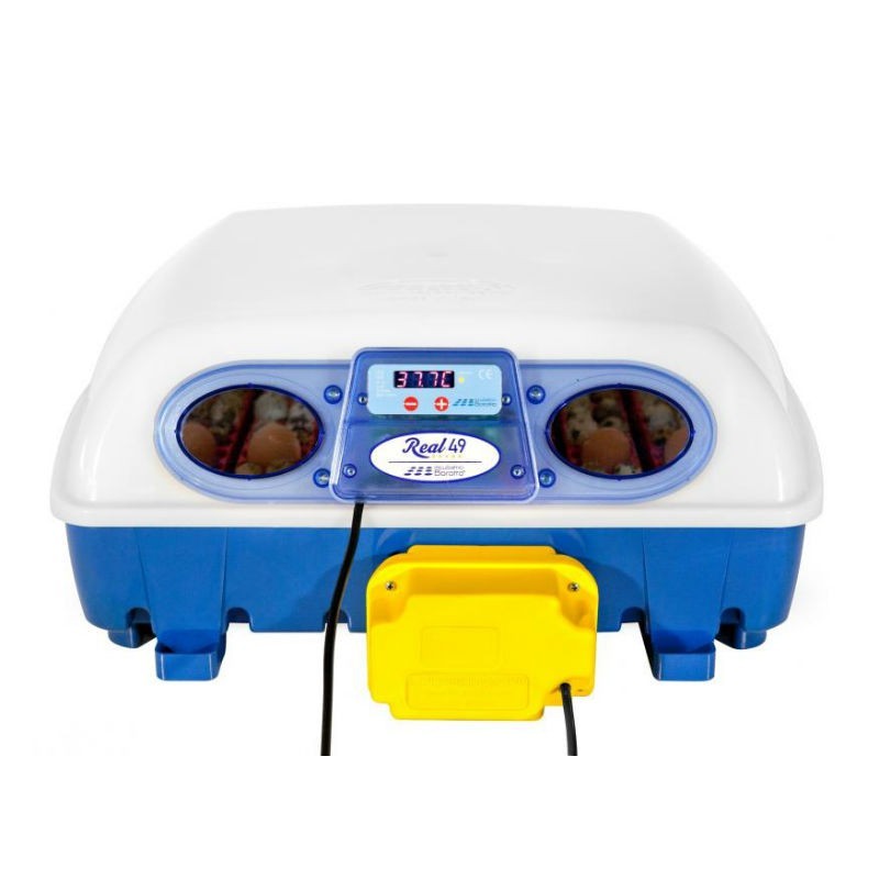 Incubadora Automática REAL
 Modelo-Automático Habilidade-49 ovos