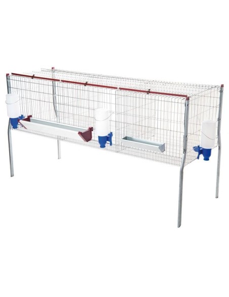 Jaula para Pollos de Engorde