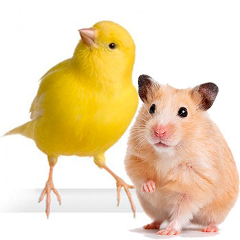 Productos para pajaros y hamsters SUMAGAN